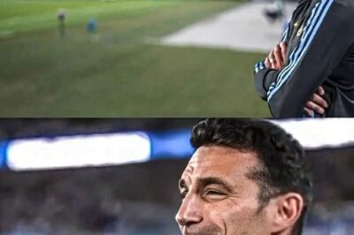 Lionel Scaloni: El Arquitecto de la Nueva Era Dorada del Fútbol Argentino