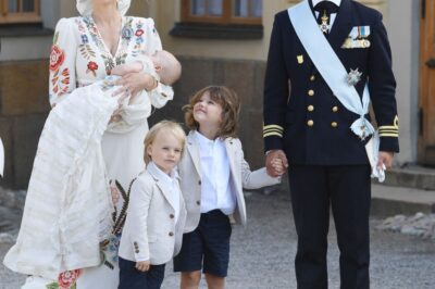 ¡La princesa Sofía comparte fotos del bebé! ¡Las reacciones de sus hijos derritieron todos los corazones!