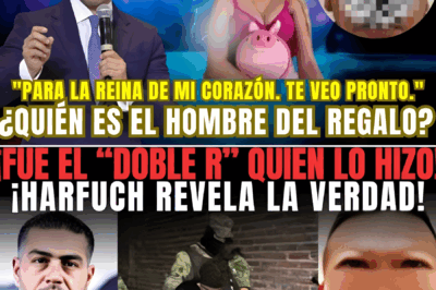 🚨 ¡HARFUCH ROMPE EL SILENCIO SOBRE EL CASO DE VALERIA MÁRQUEZ! “Él puede esconderse, pero esta vez LLEGAREMOS HASTA EL FINAL” 😱🔥