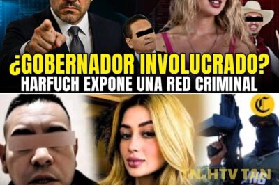 🚨 ¡HARFUCH EXPONE LA VERDAD! Influencers, Narcos y el PODER que SILENCIÓ a Valeria Márquez 😱🔥