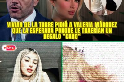 🚨 ¡ALERTA TOTAL! Harfuch INVESTIGA A Vivian De la Torre por el Asesinato de Valeria Márquez—¡La DECLARACIÓN 🚨 ¡ALERTA TOTAL! Harfuch INVESTIGA A Vivian De la Torre por el Asesinato de Valeria Márquez—¡La DECLARACIÓN QUE NO COINCIDE CON EL ESCENARIO LE CUESTA LA LIBERTAD! 😱🔥NO COINCIDE CON EL ESCENARIO LE CUESTA LA LIBERTAD! 😱🔥