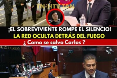 🚨 ¡HARFUCH DESENMASCARA LA TRAMA SECRETA! La VERDAD detrás de los MÚSICOS CALCINADOS—¡Lo que OCULTABA el ARCHIVO CERO! 😱🔥