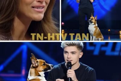 🚨 ¡INCREÍBLE! El BAILE de Este Perro CALLEJERO Hizo LLORAR a Todo un País 😱💥