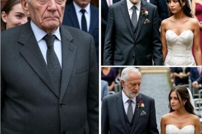 “Vasily Igorevich”, se presentó el anciano, extendiendo la mano.