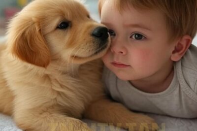 Un niño que no podía moverse yacía inmóvil en su cuna, hasta que un cachorro golden retriever entró silenciosamente, se acurrucó junto a él… y algo imposible comenzó a ocurrir.