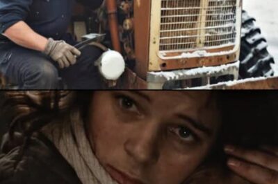hacia la granja, el tractorista le lanzó las llaves de la casa a una mendiga.