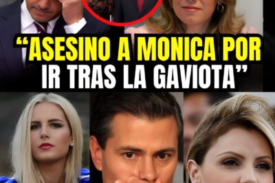 Enrique Peña Nieto Elimino A Mónica Pretelini Dejándonos Petrificados