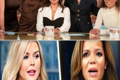 “¡DEMASIADO TARDE!” – Karoline Leavitt RESPONDE: LA DEMANDA DE 800 MILLONES DE DÓLARES SE HACE MÁS FUERTE – ‘The View’ SE ALBOROTA POR LA PAZ, ¡PERO LA PUERTA ESTÁ CERRADA!