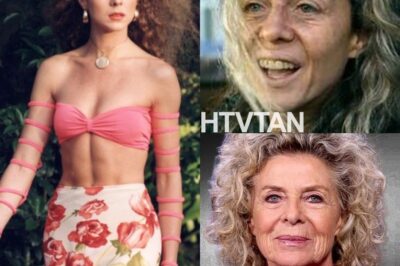 😢 LA TRISTE REALIDAD DE MARGARITA ROSA DE FRANCISCO A SUS MÁS DE 60 AÑOS—LA “GAVIOTA” YA NO ES LA MISMA, ¿QUÉ LE SUCEDIÓ Y POR QUÉ SE ALEJÓ DE LA FAMA? #CaféConAromaDeMujer #ElFuturoDeUnaLeyenda A más de 60 años, Margarita Rosa de Francisco, la entrañable “Gaviota” de Café con aroma de mujer, se ha distanciado de la vida pública que alguna vez la colocó en la cima. Su aparente retiro ha dejado a todos preguntándose qué ocurrió en la vida de la actriz y cantante que la llevó a cambiar tan drásticamente. ¿Qué secretos guarda la talentosa artista en su corazón? Los detalles de su vida actual, lejos del brillo de la televisión, han dejado una sensación de tristeza y misterio entre sus seguidores.