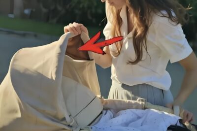 Cuando la muchacha pobre vio que la mujer rica tiraba un cochecito, decidió quedárselo para ella.