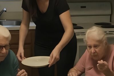 Una humilde enfermera cuida de cuatro hermanas mayores y descubre su testamento después de su muerte.