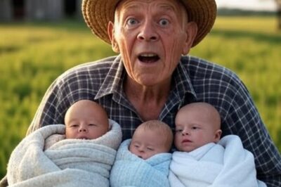 Un hombre anciano encuentra tres bebés abandonados en su granja — y encuentra un nuevo significado en la vida.