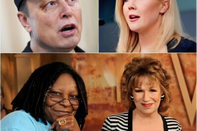Karoline Leavitt and Elon Musk Raise Alarming Questions About ‘The View’—What Their Joint Statement Reveals About Media Influence in 2025