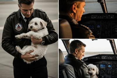 El Piloto y Su Compañero
