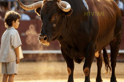 Nadie Podía Tocar A Ese Toro — Hasta Que Llegó Ese Niño… Y Todo Cambió.