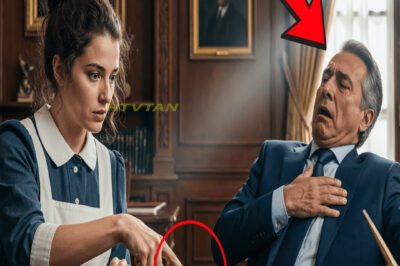 La Empleada Señaló el Anillo y Dijo: “Mi Madre Perdió Uno Igual en 1984” — el Rico Cayó al Suelo