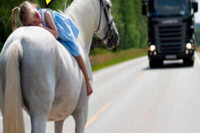 HOMBRE RICO ABANDONA A SU HIJA en el BOSQUE, PERO el CABALLO pide AYUDA a un CAMIONERO…