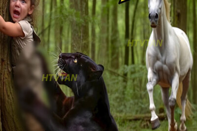 HOMBRE RICO ABANDONA A SU HIJA para ser DEVORADA por una PANTERA NEGRA, pero el CABALLO lo vio todo