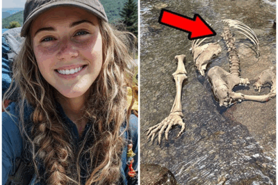 Una joven excursionista desapareció misteriosamente en la Ruta Apalache y durante dos años nadie supo nada de ella. Su familia y amigos vivieron entre la esperanza y la angustia, hasta que un hallazgo macabro en un maizal de Virginia reveló la verdad. Sus restos habían sido usados para crear un espantapájaros, exhibido a plena vista mientras el responsable fingía normalidad. Lo que parecía un accidente de senderismo resultó ser una historia mucho más oscura y perturbadora.