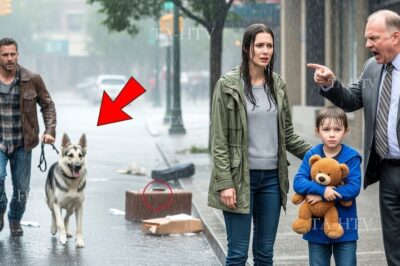 Una Viuda y su Hijo eran Desalojados en las Lluvia — y un Soldado y su Perro Revelan una Promesa