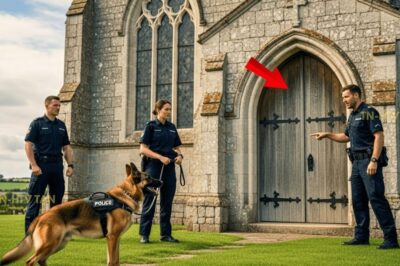 K9 No Deja De Mirar La Iglesia — Policías Hallan 40 Chicas Desaparecidas Adentro