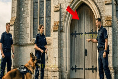 K9 No Deja De Mirar La Iglesia — Policías Hallan 40 Chicas Desaparecidas Adentro