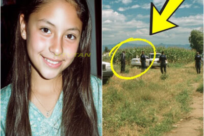 Niña desapareció en 2003 en un campo de maíz – 2 días después, camionero encontró algo perturbador…..