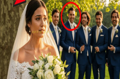 Escuchó la Traición Antes de los Votos — y Transformó su Boda en un Ajuste de Cuentas Público