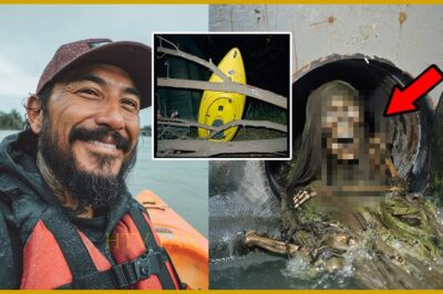 Turista Acuático Desapareció en Florida — Su KAYAK en Árbol, y el CUERPO en Alcantarilla