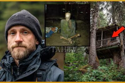 Turista desaparece en los bosques de Ketchikan: que se encuentra en la cabaña de árboles abandonados