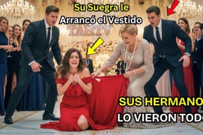 Su Suegra le Arrancó el Vestido en Público. No Sabía que los Hermanos de Ella eran Multimillonarios.