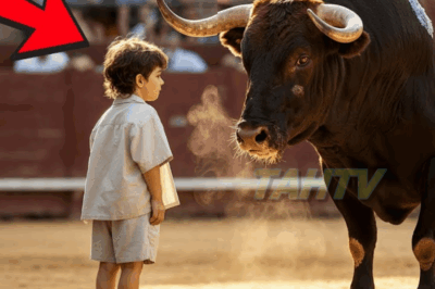 Nadie Podía Tocar A Ese Toro — Hasta Que Llegó Ese Niño… Y Todo Cambió.