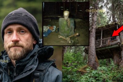 Turista desaparecido en los bosques de Ketchikan — hallado en una cabaña abandonada en un árbol 9 años después