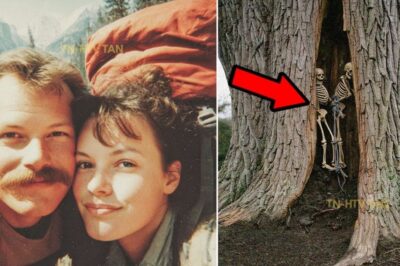 Pareja de Turistas Desapareció en Parque Joshua — 7 años Después Cuerpos Dentro de un Árbol…