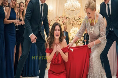 Su Suegra le Arrancó el Vestido en Público. No Sabía que los Hermanos de Ella eran Multimillonarios…