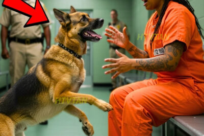Minutos Antes De Su Ejecución Pidió Algo… Un Ladrido Lo Cambió Todo…