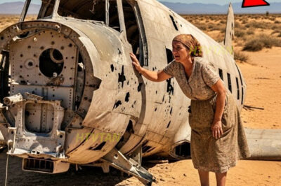 Madre pobre descubrió un avión de la Segunda Guerra en el desierto de Sonora y lo que vio sorprendió…