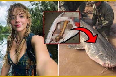 Excursionista Desapareció en Congaree — 5 Años Después Hallan Restos en Bagre Gigante