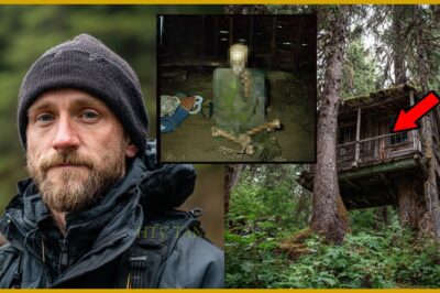 Turista Desapareció en los Bosques de Ketchikan,9 Años Después Hallado en Cabaña Abandonada en Árbol
