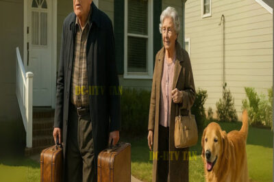 LOS ABUELOS ESCAPARON DE LA CASA FAMILIAR A MEDIANOCHE… AL ESCUCHAR EL PLAN SINIESTRO DE LA NUERA…