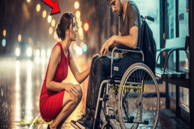 “VEN CONMIGO” Madre Soltera Halla A Un Hombre Pobre En Silla De Ruedas Y Lo Lleva A Casa, Aquel Día…
