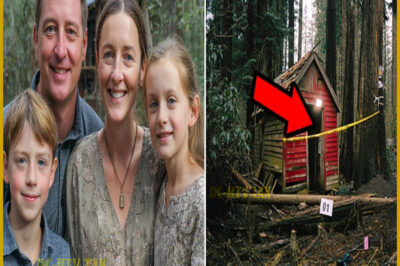 Familia desapareció en cabaña del bosque de Oregón — 10 años después hallados bajo el SUELO…