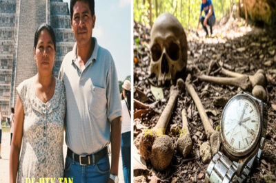 Pareja humilde desaparece en Chichén Itzá en 2003 — 5 años después, algo aparece en una cueva…