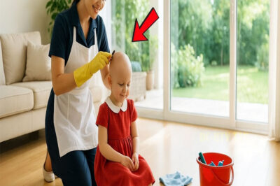 La hija del multimillonario solo tenía 3 meses de vida hasta que la nueva criada descubrió la verdad…