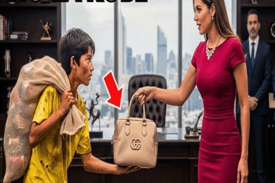 Millonaria quedó sorprendida al descubrir quién había tomado su bolsa