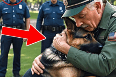 A un perro K9 se le ordenó atacar a un anciano, ¡pero lo que sucedió después hizo llorar a todos!