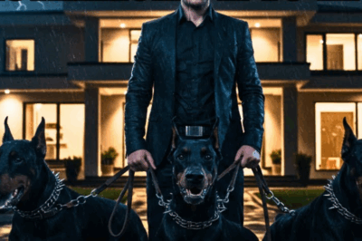 El Millonario Que Usó a Sus Tres Dobermans Para Rescatar a Su Hijo Secuestrado