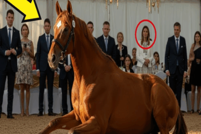 Un Caballo Rechazado en una Subasta Es Comprado por un Joven — Lo Que Pasa Deja Sin Palabras