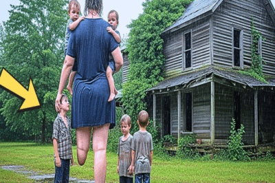 La Viuda Vendió Todo Para Comprar Una Casa Vieja Por 5000$ —Pero El Suelo Escondía Algo Inimaginable