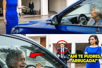 Millonario escucha los gritos de su madre… y descubre a su novia en el acto